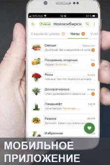Вопросы и ответы Вопросы и ответы