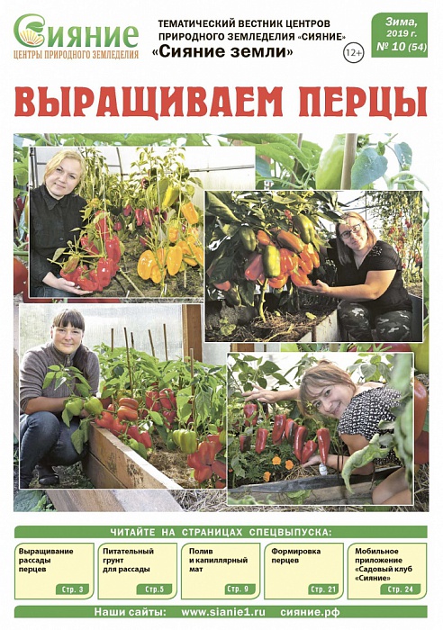 Вестник - 10 (зима 2019) Вестник - 10 (зима 2019)