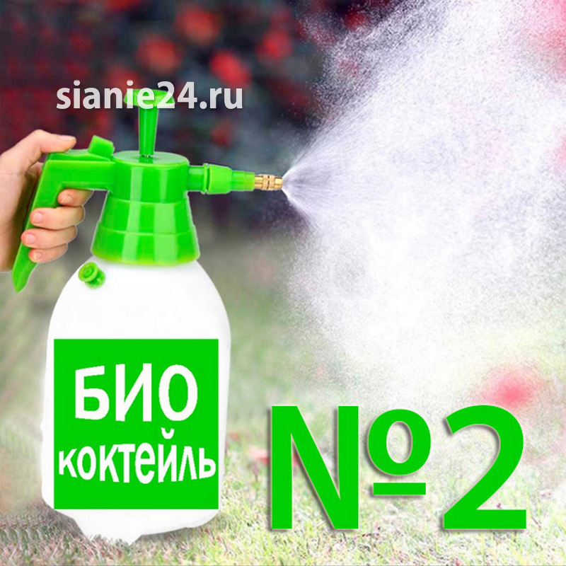 Биококтейль №1 + "Сияние-1"
