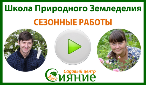 Смотрите видео