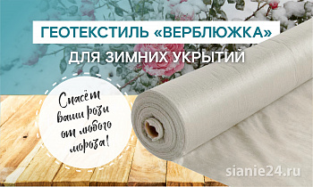 ЧЕМ УКРЫТЬ РАСТЕНИЯ НА ЗИМУ