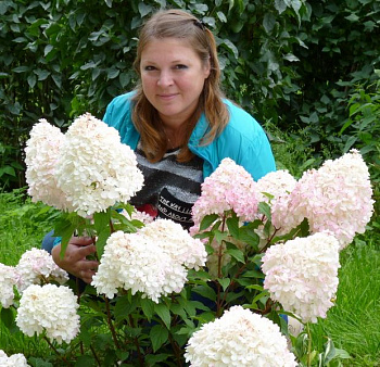 Шоренкова Анна Владимировна
