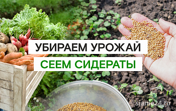 ПОЧВА НЕ ДОЛЖНА ПУСТОВАТЬ!