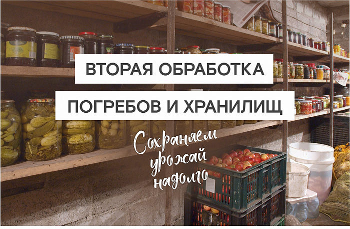 ГОТОВИМ ПОГРЕБА И ХРАНИЛИЩА К ХРАНЕНИЮ УРОЖАЯ