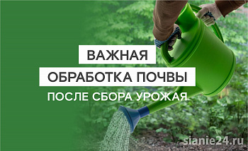 ВРЕМЯ ОБРАБАТЫВАТЬ ПОЧВУ ПОСЛЕ СБОРА УРОЖАЯ